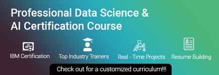 Professional Course in Data Science & AI