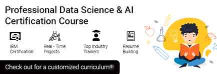 Professional Course in Data Science & AI
