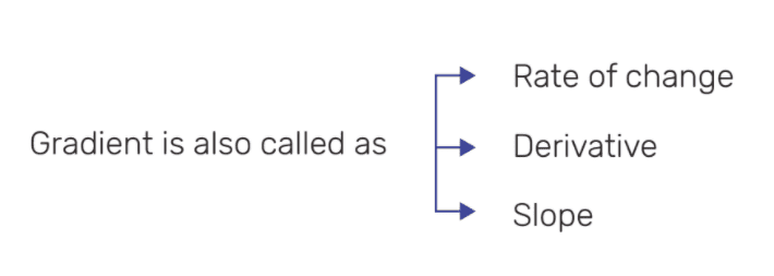 Perceptron Algorithm